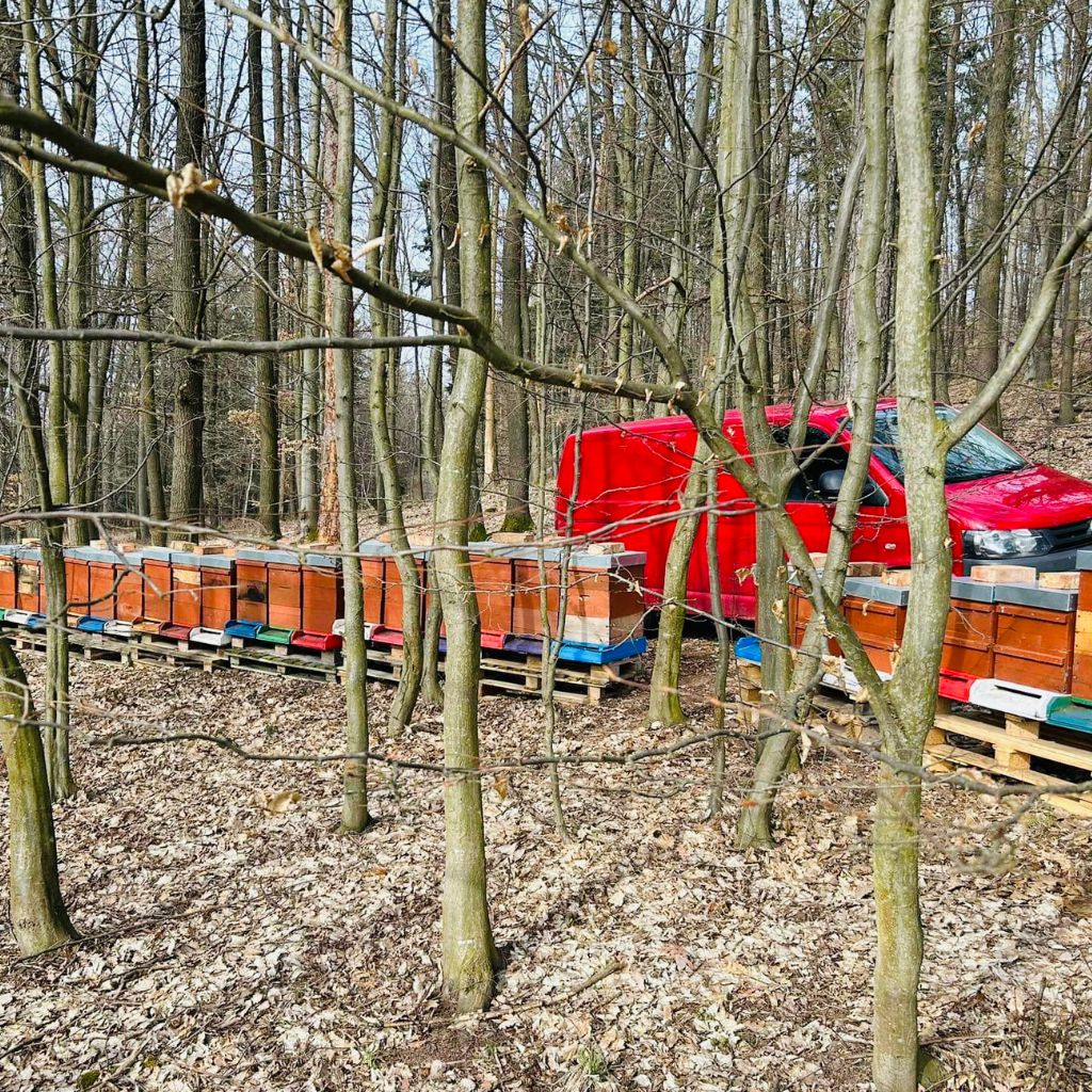 Návrh bez názvu - 2026-03-10T095224.888